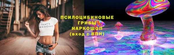 PSILOCYBIN Пролетарск