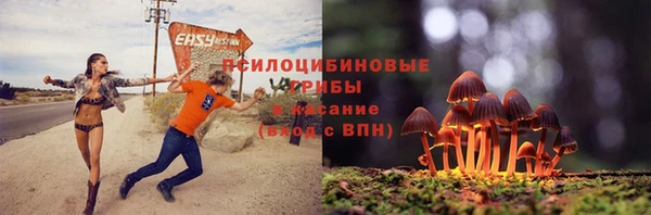 ешки Богданович