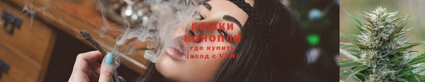 ешки Богданович