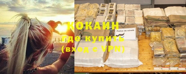 ешки Богданович