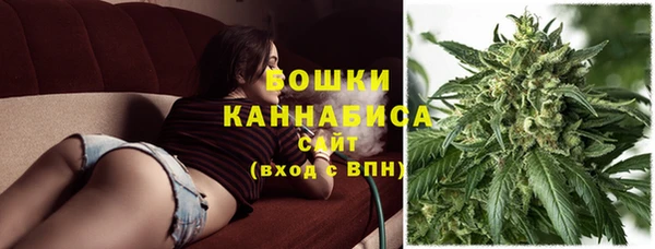 ешки Богданович