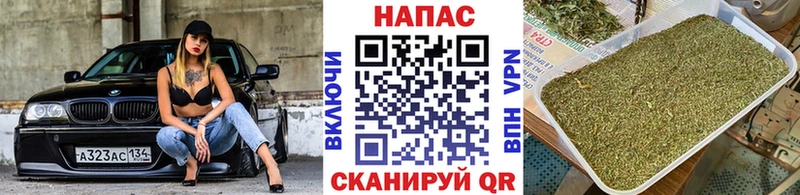 Каннабис MAZAR  Светлогорск 